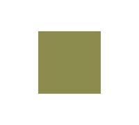 Leyland shades of Green High Gloss Shade of green: Enough Is Enough (P Shades of Green High Gloss