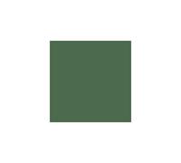 Leyland shades of Green High Gloss Shade of green: Great Western (PPG1 Shades of Green High Gloss