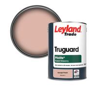 Leyland Trade Truguard Smooth Pliolite Masonry Paint Georgia Peach (Ppg1063-4) 5L