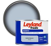 Leyland Trade Vinyl Matt Walls & Ceilings Emulsion Paint Northern Exposure (Ppg1165-3) 350Ml Tester