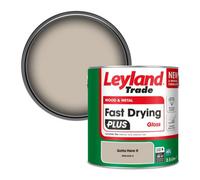 Leyland Trade Wood & Metal Fast Drying Plus Gloss Paint Gotta Have It (Ppg1076-3) 2.5L