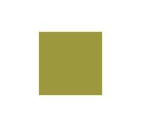 Leyland Vinyl matt shades of Green Shade of green: Be Yourself (PPG121 Shades of Green Vinyl Matt