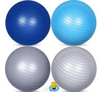 Leyndo 4 Pcs 26 Inch Yoga Exercise Ball Pilates Pregnancy Birthing Fitness Ball with Quick Pump Anti Burst for Improved Posture, Balance, Yoga, Pilates, Training (Blue Gray Set)