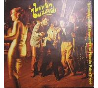 Leyton Buzzards - SATURDAY NIGHT BENEATH THE PLASTIC PALM TREES 7 INCH (7" VINYL 45) UK CHRYSALIS 1979