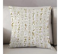 LEZUAHSH Cushion Cover,Pillow Cover Throw Pillow Case Decor Home Livingroom Couch Sofa,Ancient Egyptian writing,18 x 18 in