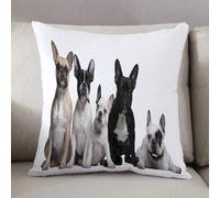 LEZUAHSH Cushion Cover,Pillow Cover Throw Pillow Case Decor Home Livingroom Couch Sofa,Bulldog,Group of Young French Bulldogs with Adorable Expressio,20 x 20 in