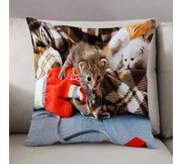 LEZUAHSH Cushion Cover,Pillow Cover Throw Pillow Case Decor Home Livingroom Couch Sofa,Cats, kittens and mittens newborn baby animals in a plain wooden blanket playing j,20 x 20 in
