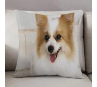 LEZUAHSH Cushion Cover,Pillow Cover Throw Pillow Case Decor Home Livingroom Couch Sofa,Cute Purebred Young Color Feed Pomeranian Dog Animals Wildlife Hungry Playful,20 x 20 in