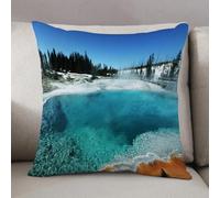LEZUAHSH Cushion Cover,Pillow Cover Throw Pillow Case Decor Home Livingroom Couch Sofa,Epic Winter Landscape with Snowy Pine Trees in Switzerland Woods Print,20 x 20 in