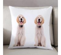 LEZUAHSH Cushion Cover,Pillow Cover Throw Pillow Case Decor Home Livingroom Couch Sofa,Golden Retriever, Two Emotional Poses of a Young Panting Cucciolo Dom,20 x 20 in