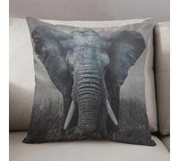 LEZUAHSH Cushion Cover,Pillow Cover Throw Pillow Case Decor Home Livingroom Couch Sofa,Vintage style black and white image of an African elephant in the Tarangire National Park,18 x 18 in