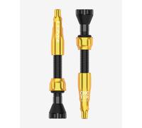 Lezyne TLR Tubeless Valve 44 mm Gold