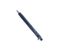 LFAMZO Common Rail Injector Compatible for Great Wall/Delphi Engines Hovering H5 H6 1100100-ED01 28231014 1100100ED01 Performance Fuel Injectors