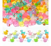 LFBEST 110pcs Mini Ducks, 10 Colors Cute Resin Tiny Ducks, Mini Glow Resin Animals Small Ducks for Aquarium Fairy Garden Dollhouse Decor Bath Toy Crafts Tiny Homes Micro Landscape