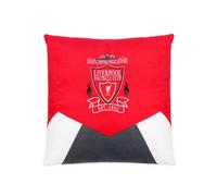 LFC 50x50cm Cushion