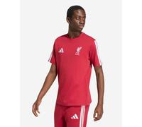 LFC adidas Adults 26/27 DNA Tee Active Maroon