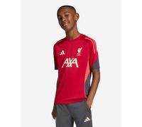 LFC adidas Juniors 25/26 Domestic Short Sleeve Tee Red
