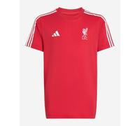 LFC adidas Kids 25/26 DNA Tee Red