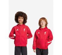LFC adidas Kids 25/26 Home Anthem Jacket