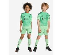 LFC adidas Little Kids 25/26 Home Goalkeeper Mini Kit