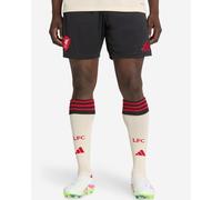 LFC adidas Mens 25/26 Away Shorts