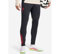 LFC adidas Mens 25/26 Domestic Training Pants Black