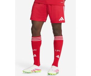 LFC adidas Mens 25/26 Home Shorts