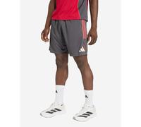 Liverpool FC Tiro 25 Competition Training Shorts