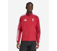 LFC adidas Mens 26/27 Home Anthem Jacket