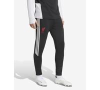 LFC adidas Mens 26/27 Tiro Training Pants Black