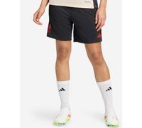 LFC adidas Womens 25/26 Domestic Training Shorts Black