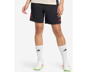 LFC adidas Womens 25/26 Domestic Training Shorts Black