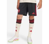 LFC adidas Youth 25/26 Away Shorts