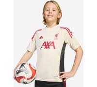 LFC adidas Youth 25/26 Domestic Short Sleeve Training Top White