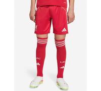 LFC adidas Youth 25/26 Home Shorts