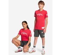 LFC adidas Youth 25/26 US Pack Shorts Grey