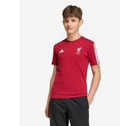 adidas Junior Liverpool FC DNA T-Shirt, Red, Size 11-12 Years Red