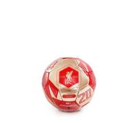 LFC Champions Football Size 1