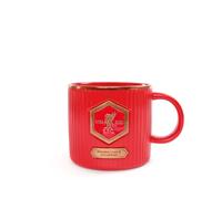 LFC Champions Mug