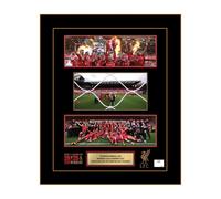 LFC Premier League Framed Goal Net