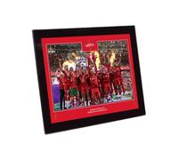 LFC Premier League Trophy Lift 8 x 6 Glass Image