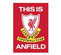 LFC This Is Anfield Poster