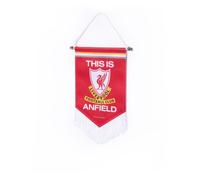LFC TIA Mini Pennant