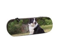 LfearTesa Hard Shell Pencil Bag Stationery Organizer Pouch Leather Pencil Pen Case & Makeup Bag,Bad Dog Border Collie