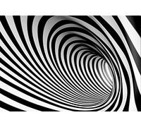 LFEEY 10x7ft Black and White Spiral Vortex Backdrop Adults Kids Portrait Photo Shoot Futuristic Perspective Pipeline Tube Endless Tunnel Striped Swirl Background for Photography Photo Studio Props