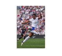 LFFHUU Sophia Smith Canvas Wall Art Home Posters Are Suitable for Bedroom Dining Room And Living Room Beautiful Artwork Is A Great Gift for FriendsUnframe-style08x12inch(20x30cm)