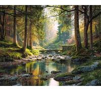 LFYNIORS Cross Stitch Kits for Adults Beginners Forests River Scenery 14Ct Pre Printed DIY Handmade Embroidery with Printed Pattern Needlework Sewing Craft for Home Decoration 40x50cm