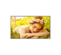 LG 50UL5Q-E 50" webOS 4K UHD signage for 24/7 operation