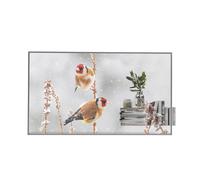 LG 55EW5P-M Transparent OLED Signage