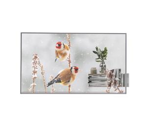 LG 55EW5P-M Transparent OLED Signage
